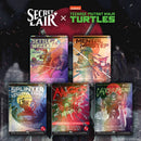 Secret Lair x Teenage Mutant Ninja Turtles: The Last Ronin
